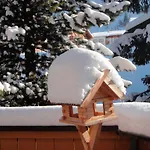 Haus Iris Lech am Arlberg